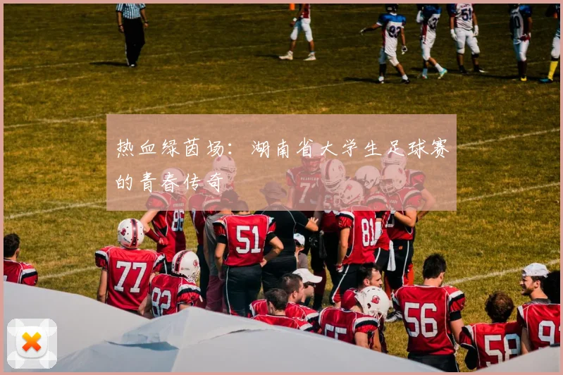 热血绿茵场:湖南省大学生足球赛的青春传奇